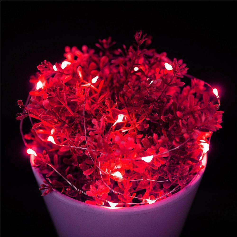 AMZER Fairy String Light 50 LED 5m Waterproof AA Battery Operated