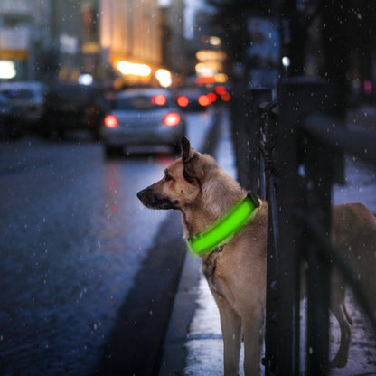 LED Dog Collar USB Rechargeable Adjustable Dog Safety Collar Night