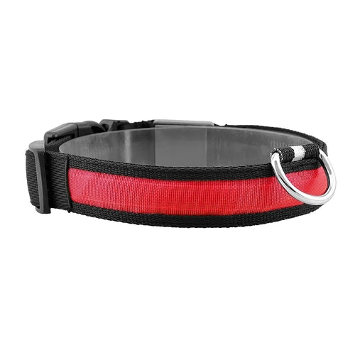 LED Dog Collar USB Rechargeable Adjustable Dog Safety Collar Night
